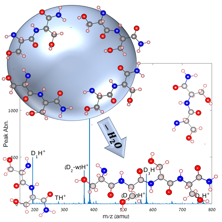 Gas Phase Bond Formation in Dipeptide Clusters