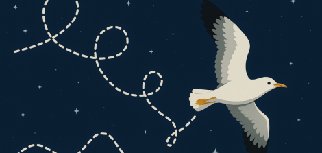 Strong Anomalous Diffusion for Free-Ranging Birds