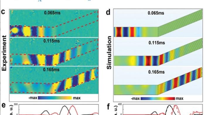 Dynamics of pulse propagation in the waveshifter