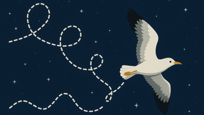 Strong Anomalous Diffusion for Free-Ranging Birds