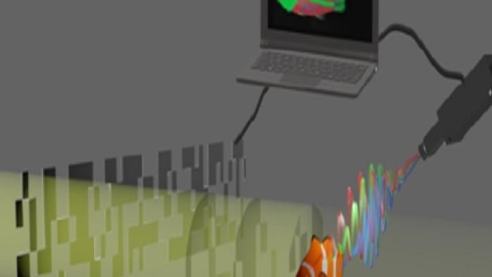 computational ghost imaging and x-ray fluorescence measurement in a high-resolution