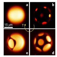  Self-assembly of ordered patterns on liquid spheres